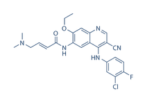Pelitinib (EKB-569)结构式