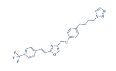 Mubritinib (TAK 165)结构式
