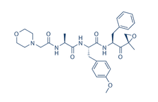 ONX0914(PR-957)结构式