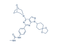 WYE125132(WYE-132)结构式