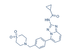 Filgotinib (GLPG0634)结构式