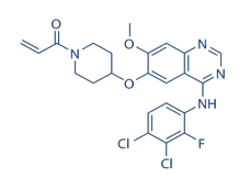 Poziotinib(HM781-36B)结构式
