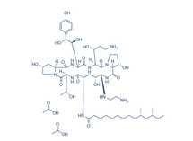 Caspofungin Acetate结构式