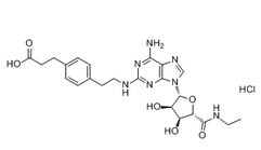 CGS 21680 hcl结构式