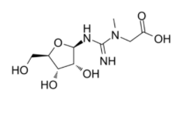 Creatine riboside结构式